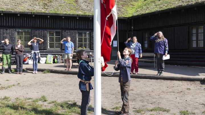 Stærkodder, Flaghejsning, Ryekol